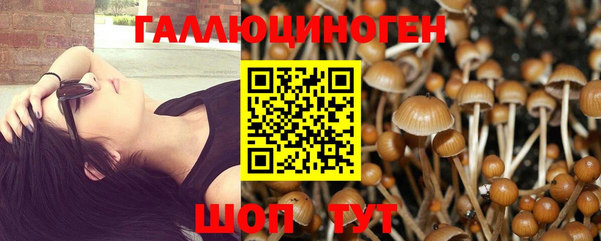 Ступино  Галлюциногенные грибы MAGIC MUSHROOMS  Псилоцибиновые грибы MAGIC MUSHROOMS  Вход с VPN 
